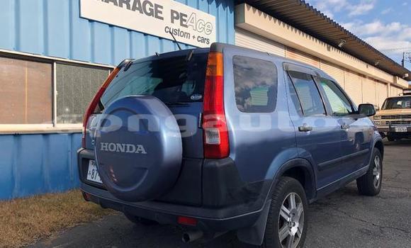 Buy Used Honda CRV Blue Car in Port Moresby in National Capital District Buy Used Honda CRV Blue Car in Port Moresby in National Capital District