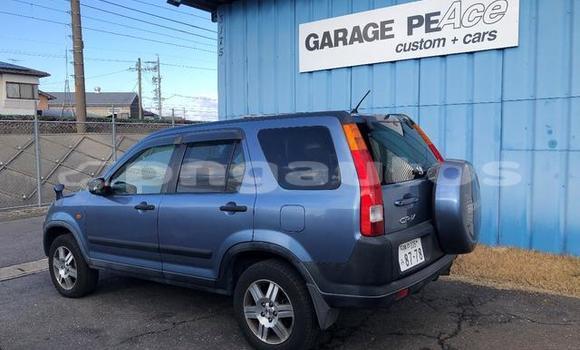 Buy Used Honda CRV Blue Car in Port Moresby in National Capital District Buy Used Honda CRV Blue Car in Port Moresby in National Capital District