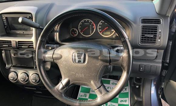 Buy Used Honda CRV Blue Car in Port Moresby in National Capital District Buy Used Honda CRV Blue Car in Port Moresby in National Capital District