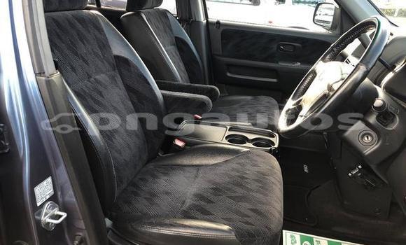 Buy Used Honda CRV Blue Car in Port Moresby in National Capital District Buy Used Honda CRV Blue Car in Port Moresby in National Capital District