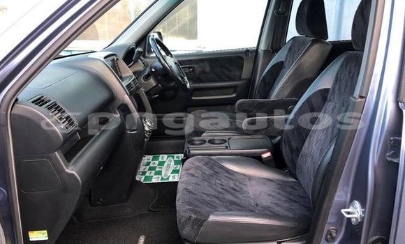 Buy Used Honda CRV Blue Car in Port Moresby in National Capital District Buy Used Honda CRV Blue Car in Port Moresby in National Capital District