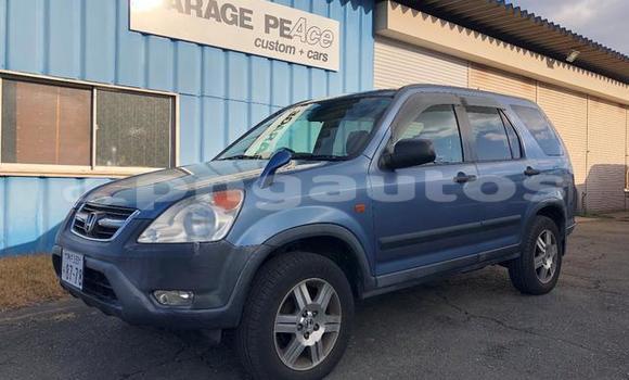 Buy Used Honda CRV Blue Car in Port Moresby in National Capital District Buy Used Honda CRV Blue Car in Port Moresby in National Capital District