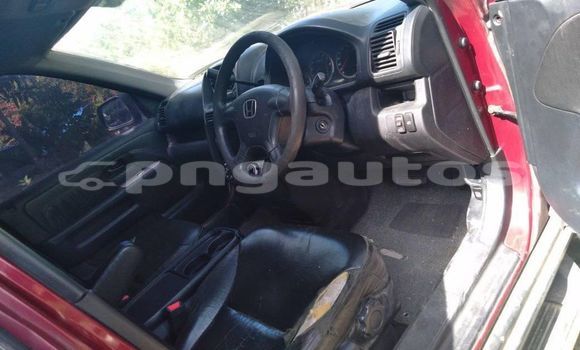 Buy Used Honda CRV Red Car in Port Moresby in National Capital District Buy Used Honda CRV Red Car in Port Moresby in National Capital District