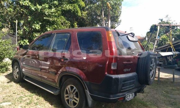 Buy Used Honda CRV Red Car in Port Moresby in National Capital District Buy Used Honda CRV Red Car in Port Moresby in National Capital District