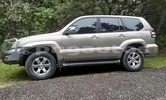 Buy Used Toyota Land Cruiser Prado Silver Car in Port Moresby in National Capital District