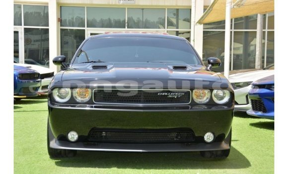Buy Import Dodge Challenger Black Car in Import - Dubai in Enga