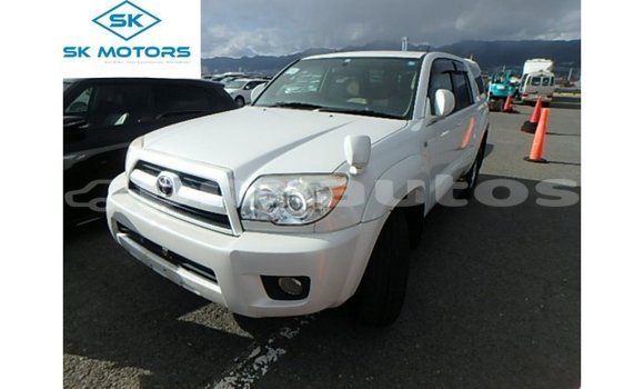 Buy Import Toyota Hilux White Car in Import - Dubai in Enga