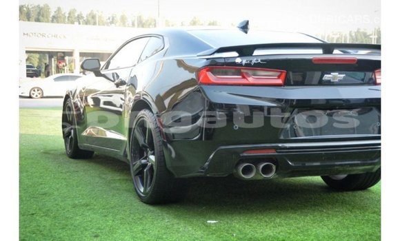 Buy Import Chevrolet Camaro Black Car in Import - Dubai in Enga Buy Import Chevrolet Camaro Black Car in Import - Dubai in Enga
