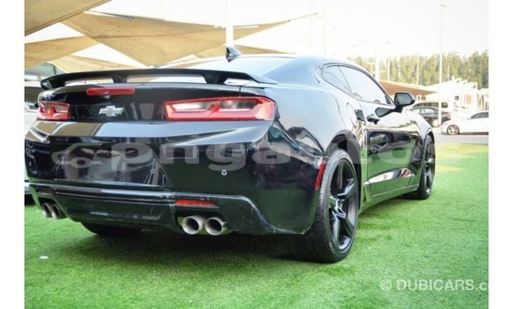 Buy Import Chevrolet Camaro Black Car in Import - Dubai in Enga Buy Import Chevrolet Camaro Black Car in Import - Dubai in Enga
