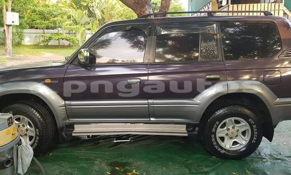 Buy Used Toyota Prado Other Car in Pomio in East New Britain Buy Used Toyota Prado Other Car in Pomio in East New Britain