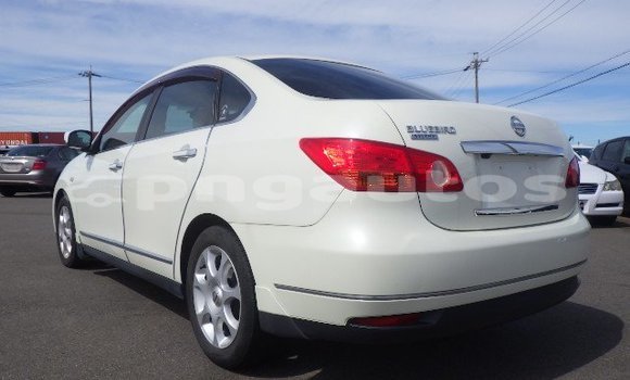 Buy Used Nissan Bluebird Sylphy White Car in Port Moresby in National Capital District Buy Used Nissan Bluebird Sylphy White Car in Port Moresby in National Capital District