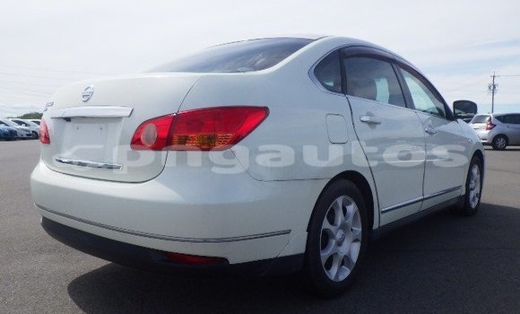Buy Used Nissan Bluebird Sylphy White Car in Port Moresby in National Capital District Buy Used Nissan Bluebird Sylphy White Car in Port Moresby in National Capital District
