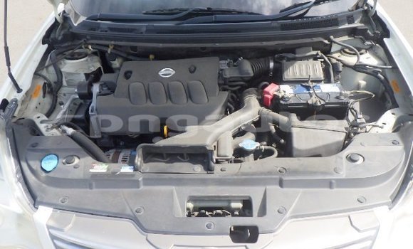 Buy Used Nissan Bluebird Sylphy White Car in Port Moresby in National Capital District Buy Used Nissan Bluebird Sylphy White Car in Port Moresby in National Capital District