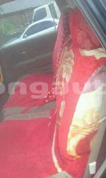 Big with watermark 47503900 199763434260791 8025431475325239296 n