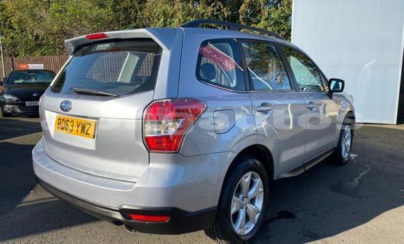 Buy Used Subaru Forester Other Car in Aiamback in Western (Fly) Buy Used Subaru Forester Other Car in Aiamback in Western (Fly)