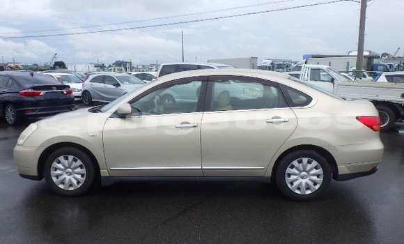 Buy Used Nissan Bluebird Sylphy Beige Car in Port Moresby in National Capital District Buy Used Nissan Bluebird Sylphy Beige Car in Port Moresby in National Capital District