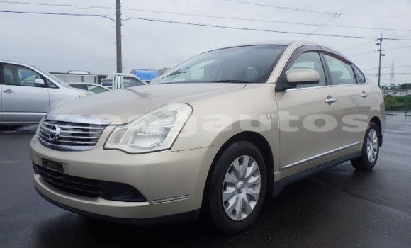 Buy Used Nissan Bluebird Sylphy Beige Car in Port Moresby in National Capital District Buy Used Nissan Bluebird Sylphy Beige Car in Port Moresby in National Capital District