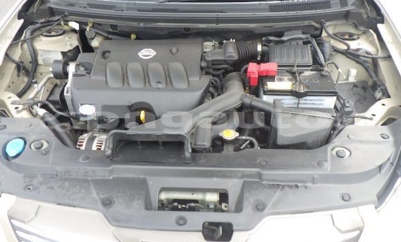 Buy Used Nissan Bluebird Sylphy Beige Car in Port Moresby in National Capital District Buy Used Nissan Bluebird Sylphy Beige Car in Port Moresby in National Capital District