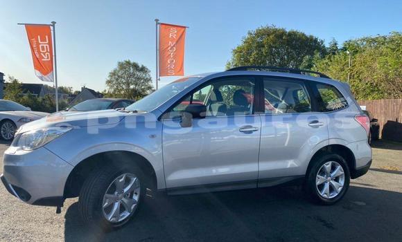 Buy Used Subaru Forester Other Car in Port Moresby in National Capital District Buy Used Subaru Forester Other Car in Port Moresby in National Capital District