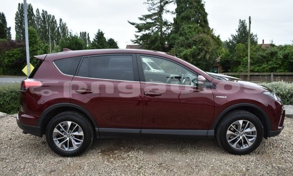 Buy Used Toyota RAV4 Other Car in Port Moresby in National Capital District Buy Used Toyota RAV4 Other Car in Port Moresby in National Capital District