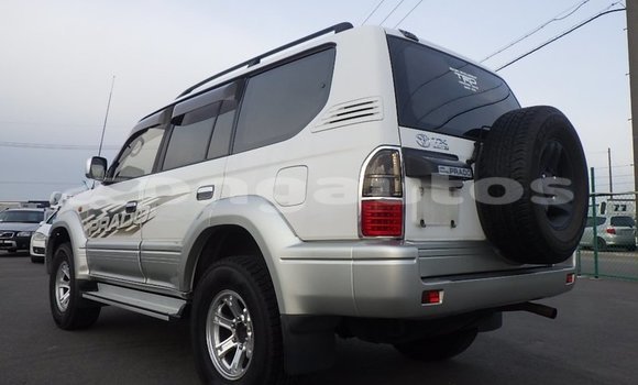 Buy Used Toyota Land Cruiser Prado White Car in Port Moresby in National Capital District Buy Used Toyota Land Cruiser Prado White Car in Port Moresby in National Capital District