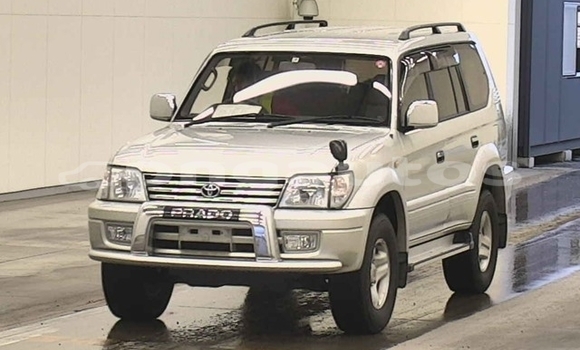 Buy Used Toyota Land Cruiser Prado White Car in Port Moresby in National Capital District
