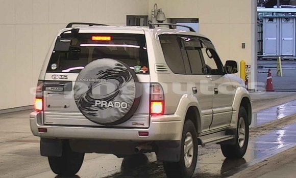 Buy Used Toyota Land Cruiser Prado White Car in Port Moresby in National Capital District Buy Used Toyota Land Cruiser Prado White Car in Port Moresby in National Capital District