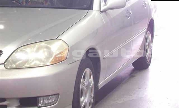 Buy Used Toyota MarkII Silver Car in Port Moresby in National Capital District Buy Used Toyota MarkII Silver Car in Port Moresby in National Capital District
