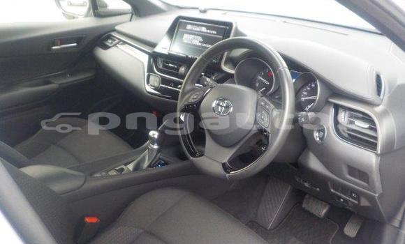Buy New Toyota C-HR Silver Car in Port Moresby in National Capital District Buy New Toyota C-HR Silver Car in Port Moresby in National Capital District