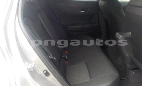 Buy New Toyota C-HR Silver Car in Port Moresby in National Capital District Buy New Toyota C-HR Silver Car in Port Moresby in National Capital District