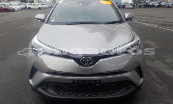 Buy New Toyota C-HR Silver Car in Port Moresby in National Capital District Buy New Toyota C-HR Silver Car in Port Moresby in National Capital District
