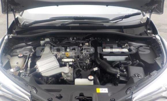 Buy New Toyota C-HR Silver Car in Port Moresby in National Capital District Buy New Toyota C-HR Silver Car in Port Moresby in National Capital District