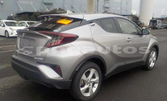 Buy New Toyota C-HR Silver Car in Port Moresby in National Capital District Buy New Toyota C-HR Silver Car in Port Moresby in National Capital District