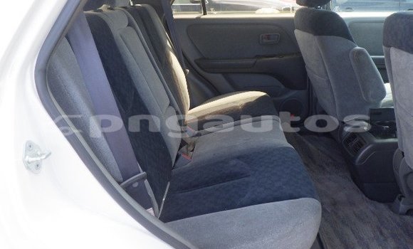Buy Used Toyota Harrier White Car in Port Moresby in National Capital District Buy Used Toyota Harrier White Car in Port Moresby in National Capital District