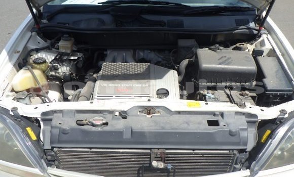 Buy Used Toyota Harrier White Car in Port Moresby in National Capital District Buy Used Toyota Harrier White Car in Port Moresby in National Capital District