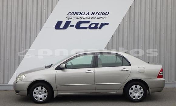 Buy Used Toyota Corolla Silver Car in Port Moresby in National Capital District