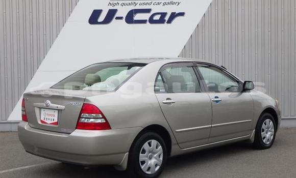 Acheter Occasion Voiture Toyota Corolla Gris à Port Moresby, National Capital District Acheter Occasion Voiture Toyota Corolla Gris à Port Moresby, National Capital District