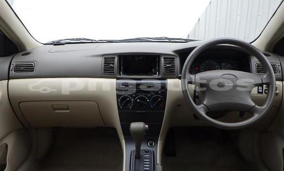 Acheter Occasion Voiture Toyota Corolla Gris à Port Moresby, National Capital District Acheter Occasion Voiture Toyota Corolla Gris à Port Moresby, National Capital District