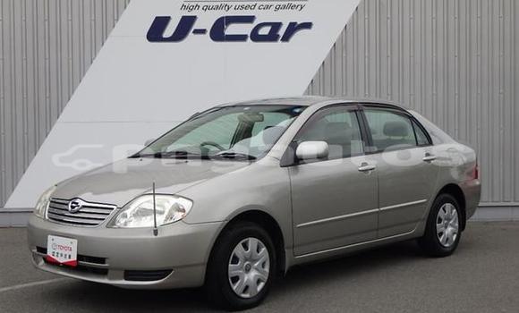 Acheter Occasion Voiture Toyota Corolla Gris à Port Moresby, National Capital District Acheter Occasion Voiture Toyota Corolla Gris à Port Moresby, National Capital District
