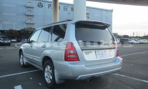 Buy Used Subaru Forester Silver Car in Port Moresby in National Capital District