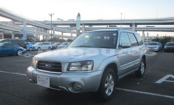 Acheter Occasion Voiture Subaru Forester Gris à Port Moresby, National Capital District Acheter Occasion Voiture Subaru Forester Gris à Port Moresby, National Capital District