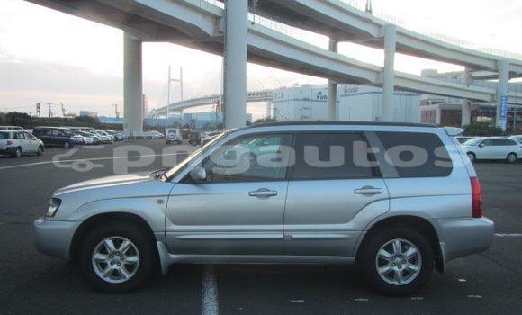 Acheter Occasion Voiture Subaru Forester Gris à Port Moresby, National Capital District Acheter Occasion Voiture Subaru Forester Gris à Port Moresby, National Capital District