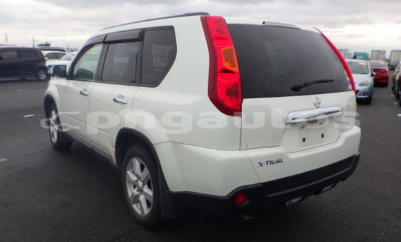 Buy Used Nissan X–Trail White Car in Port Moresby in National Capital District Buy Used Nissan X–Trail White Car in Port Moresby in National Capital District