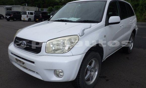 Buy Used Toyota RAV4 White Car in Port Moresby in National Capital District Buy Used Toyota RAV4 White Car in Port Moresby in National Capital District