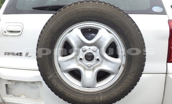 Buy Used Toyota RAV4 White Car in Port Moresby in National Capital District Buy Used Toyota RAV4 White Car in Port Moresby in National Capital District