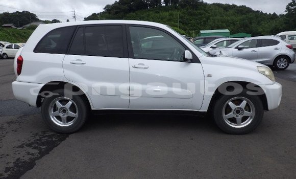 Buy Used Toyota RAV4 White Car in Port Moresby in National Capital District Buy Used Toyota RAV4 White Car in Port Moresby in National Capital District
