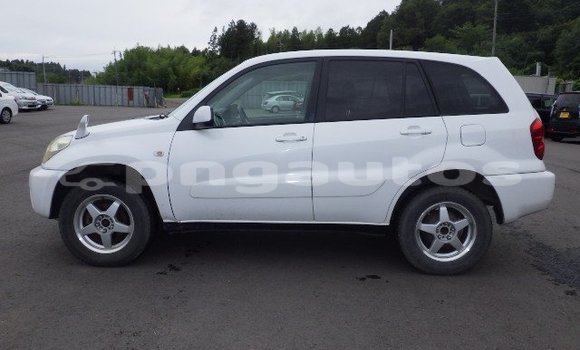 Buy Used Toyota RAV4 White Car in Port Moresby in National Capital District Buy Used Toyota RAV4 White Car in Port Moresby in National Capital District