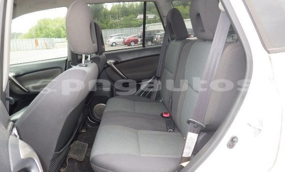 Buy Used Toyota RAV4 White Car in Port Moresby in National Capital District Buy Used Toyota RAV4 White Car in Port Moresby in National Capital District