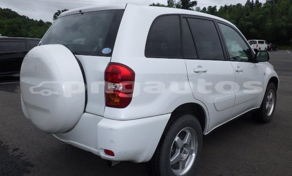 Buy Used Toyota RAV4 White Car in Port Moresby in National Capital District Buy Used Toyota RAV4 White Car in Port Moresby in National Capital District