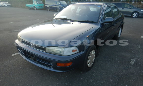 Buy Used Toyota Sprinter Black Car in Port Moresby in National Capital District Buy Used Toyota Sprinter Black Car in Port Moresby in National Capital District